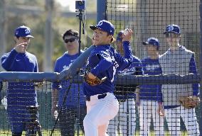 Baseball: MLB spring training