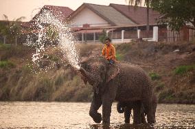 LAOS-XAYABOURY-ELEPHANT FESTIVAL