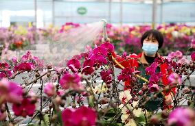 #CHINA-SPRING FARMING (CN)