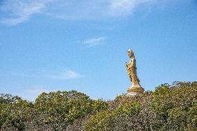 Mount Putuo south a Buddism godness Guanyin Statue
