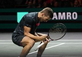 ABN AMRO Open - Rotterdam