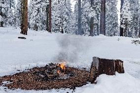 Unattended Fire In Tahoe National Forest, Calif., February 3, 2024.
