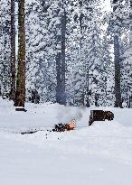 Unattended Fire In Tahoe National Forest, Calif., February 3, 2024.