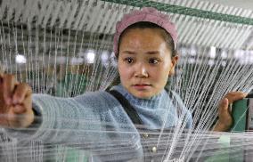 A Spinning and Plastic Company in Nantong