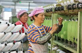 A Spinning and Plastic Company in Nantong