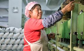 A Spinning and Plastic Company in Nantong