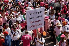 March For Our Democracy Rally - Mexico City