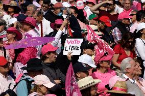 March For Our Democracy Rally - Mexico City