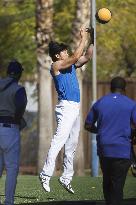 Baseball: MLB spring training