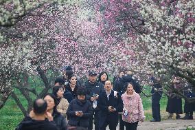 2024 Nanjing International Plum Blossom Festival