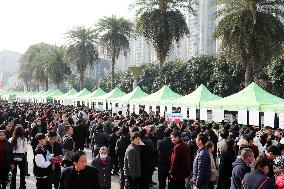 Job Fair Held in Chongqing