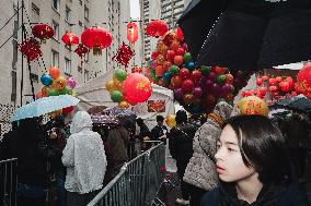 Chinese Lunar New Year Parade - Paris