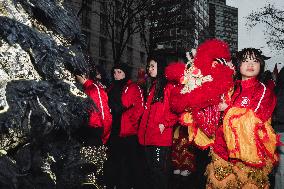 Chinese Lunar New Year Parade - Paris