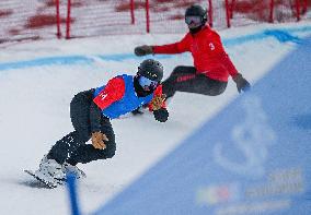 (SP)CHINA-INNER MONGOLIA-ULANQAB-14TH NATIONAL WINTER GAMES-SNOWBOARD-CROSS (CN)