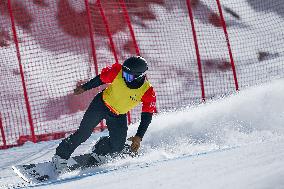 (SP)CHINA-INNER MONGOLIA-ULANQAB-14TH NATIONAL WINTER GAMES-SNOWBOARD-CROSS (CN)