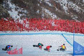 (SP)CHINA-INNER MONGOLIA-ULANQAB-14TH NATIONAL WINTER GAMES-SNOWBOARD-CROSS (CN)