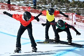 (SP)CHINA-INNER MONGOLIA-ULANQAB-14TH NATIONAL WINTER GAMES-SNOWBOARD-CROSS (CN)