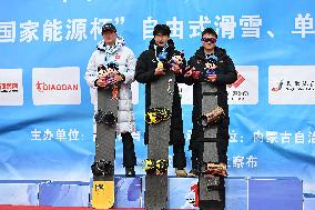 (SP)CHINA-INNER MONGOLIA-ULANQAB-14TH NATIONAL WINTER GAMES-SNOWBOARD-CROSS (CN)