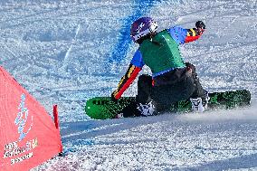 (SP)CHINA-INNER MONGOLIA-ULANQAB-14TH NATIONAL WINTER GAMES-SNOWBOARD-CROSS (CN)