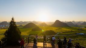 CHINA-YUNNAN-LUOPING COUNTY-COLE FLOWER FIELD (CN)