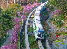 A Train Bound For Spring