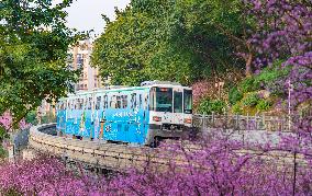 A Train Bound For Spring