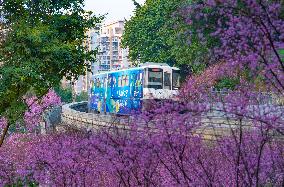 A Train Bound For Spring