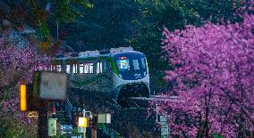 A Train Bound For Spring