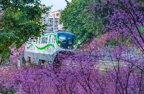 A Train Bound For Spring