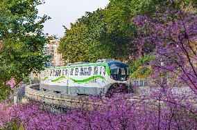 A Train Bound For Spring