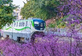 A Train Bound For Spring