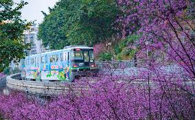 A Train Bound For Spring