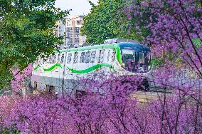 A Train Bound For Spring