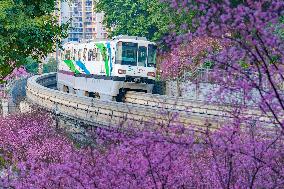 A Train Bound For Spring