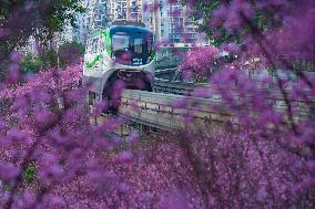 A Train Bound For Spring