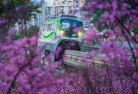 A Train Bound For Spring