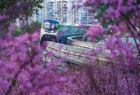 A Train Bound For Spring