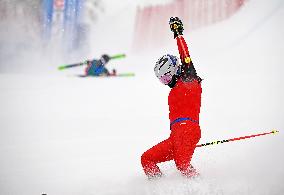 (SP)CHINA-INNER MONGOLIA-ULANQAB-14TH NATIONAL WINTER GAMES-FREESTYLE SKIING-WOMEN'S SKI CROSS (CN)