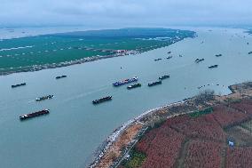 Crgo Ships Sailing in The Yangtze River in Rugao