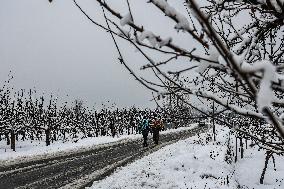 Heavy Snowfall In Kashmir