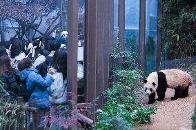 SOUTH KOREA-GIANT PANDA-FU BAO-RETURN PLAN