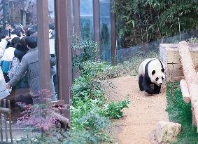 SOUTH KOREA-GIANT PANDA-FU BAO-RETURN PLAN