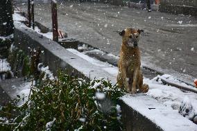 Heavy Snowfall In Srinagar, Kashmir
