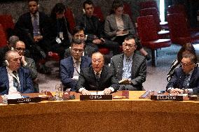 UN-SECURITY COUNCIL-HUMANITARIAN CEASE-FIRE IN GAZA-DRAFT RESOLUTION-CHINESE ENVOY