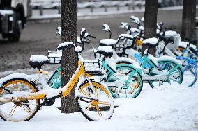 Heavy Snow in Beijing