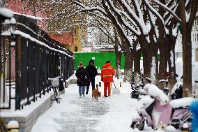 Heavy Snow in Beijing