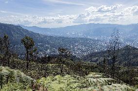 Medellin Community Gives Back to Earth After Wildfire