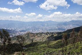 Medellin Community Gives Back to Earth After Wildfire