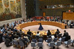 U.N. Security Council session over Gaza crisis
