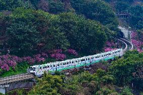 A Train Bound For Spring